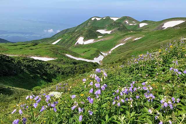 岩手山岳ガイドクラブ 大塚裕之のガイドツアー 鳥海山 鉾立