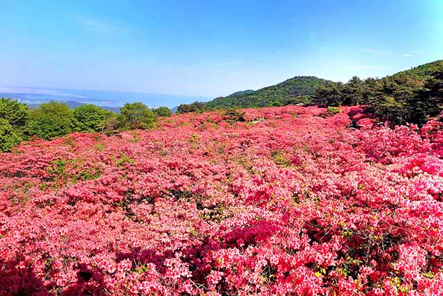 岩手山岳ガイドクラブ 中川智恵子のガイドツアー 徳仙丈山