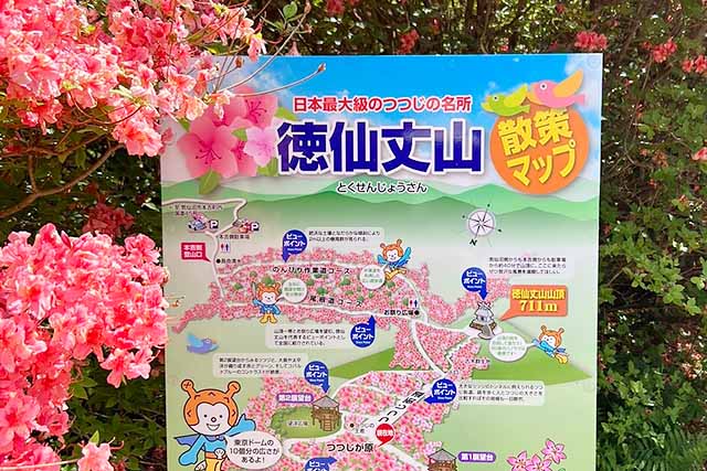 岩手山岳ガイドクラブ 中川智恵子のガイドツアー 徳仙丈山