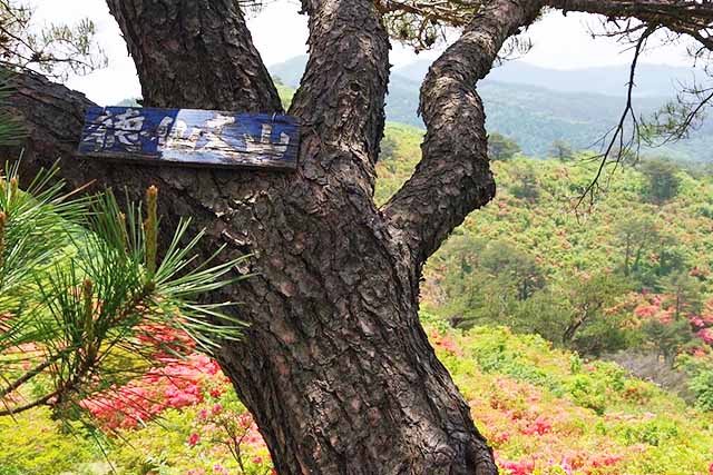 岩手山岳ガイドクラブ 中川智恵子のガイドツアー 徳仙丈山