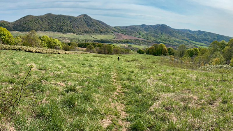 岩手山岳ガイド　中川智恵子のガイドツアー　七時雨山山行報告
