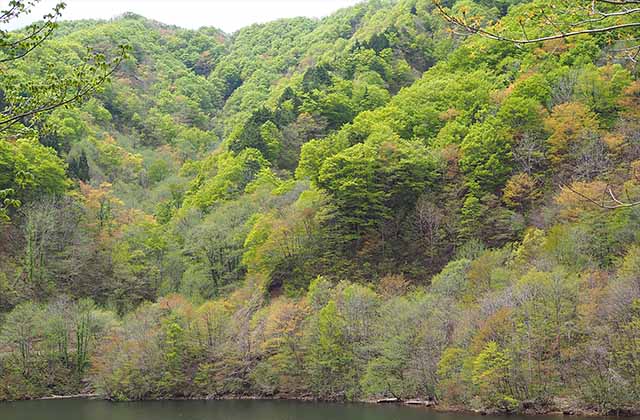 神室山　岩手山岳ガイドクラブ　大塚 裕之