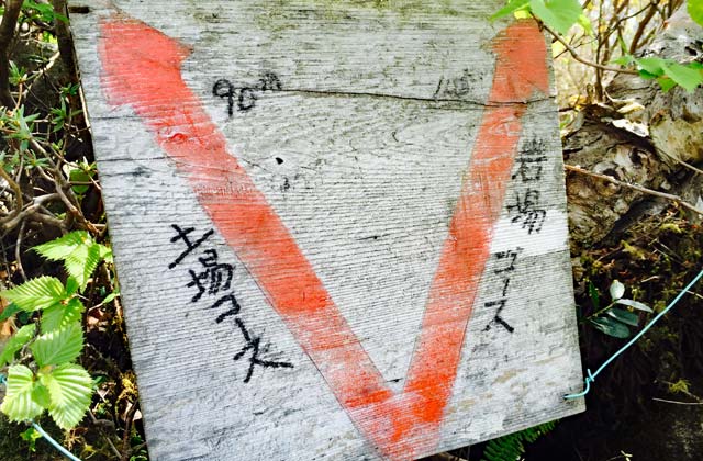 姫神山山頂直下